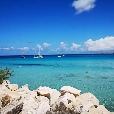 Mare E Terra Fronte Mare